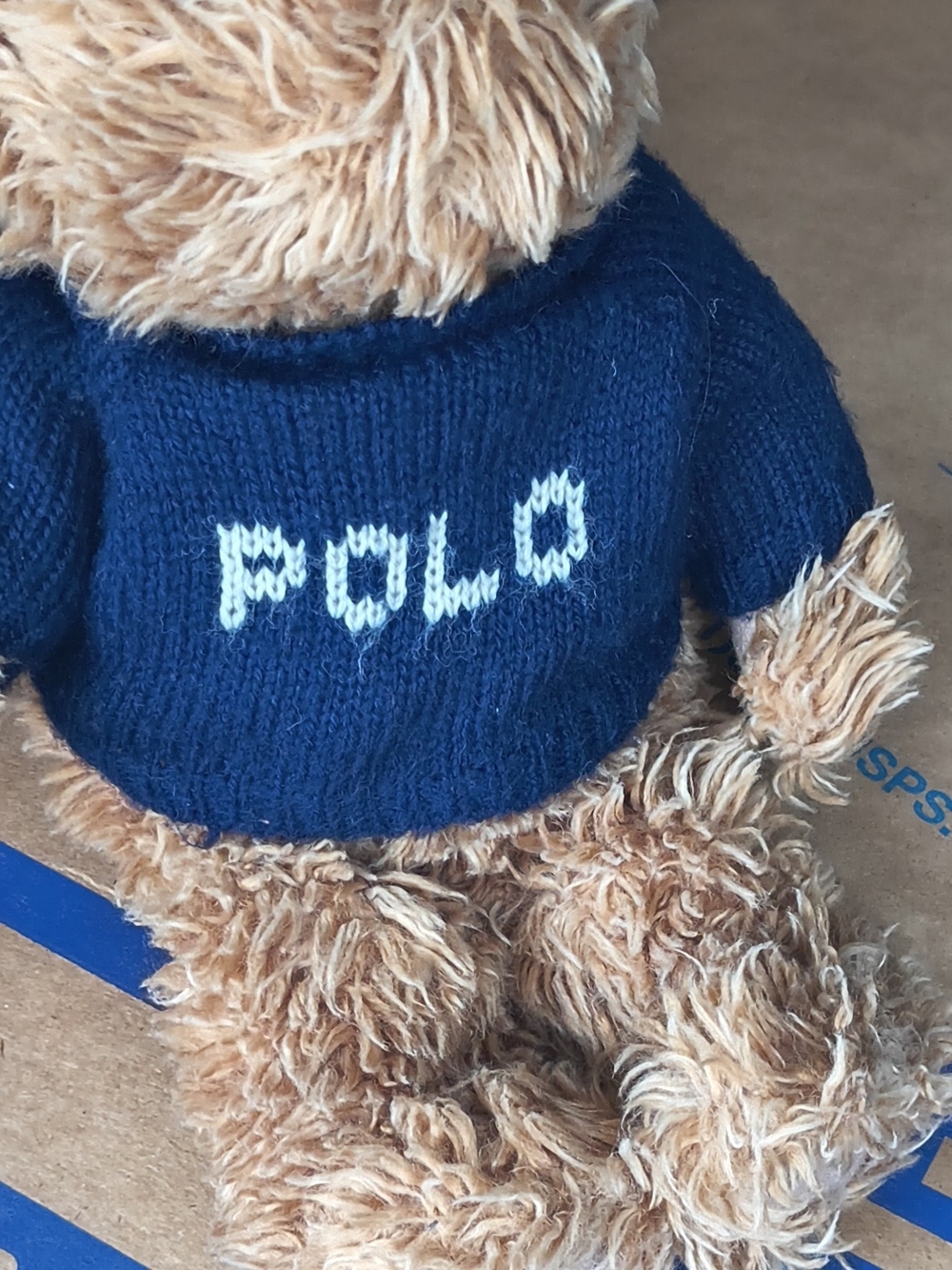 Polo by Ralph Lauren Navy Knit Sweater Teddy Bear Plush